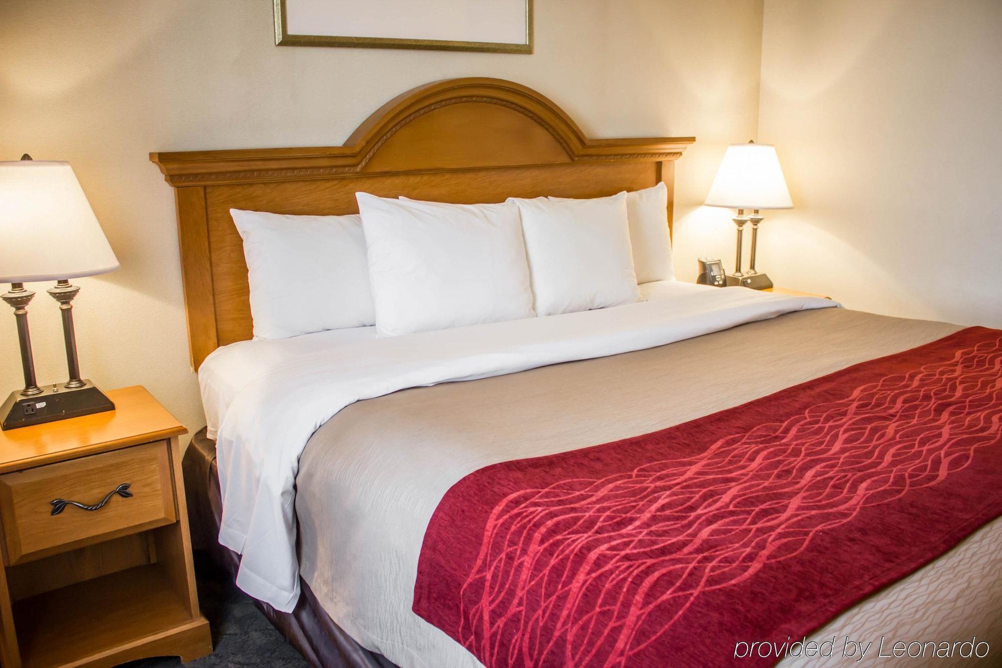 Comfort Inn Jfk Airport New York Eksteriør bilde