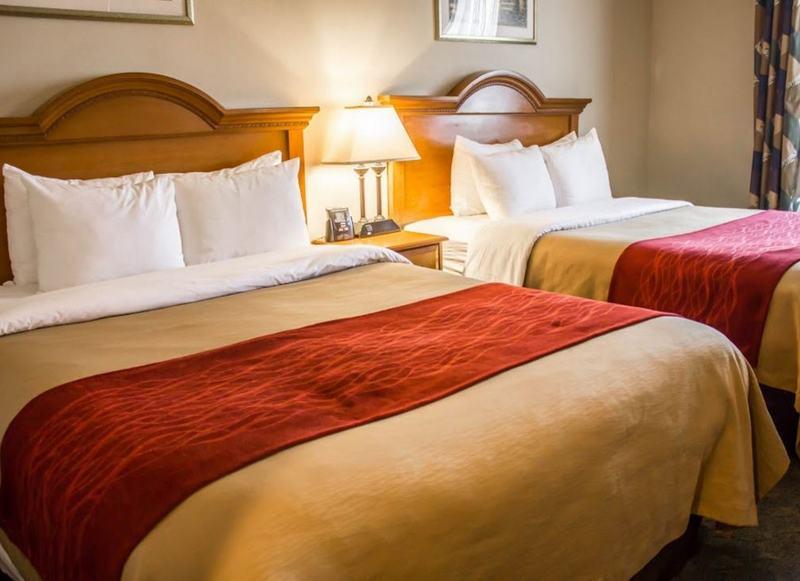 Comfort Inn Jfk Airport New York Eksteriør bilde